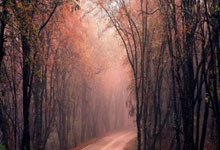 九游会：[CBA]击败青岛男篮 辽宁队锁定季后赛席位.