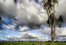 德约100冠悬了？19岁天才狂轰25记ace淘汰弗里茨，决赛要阻击德约.