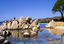 九游会:新春走基层丨山东女排:春节停赛不停训 全力备战十五运.